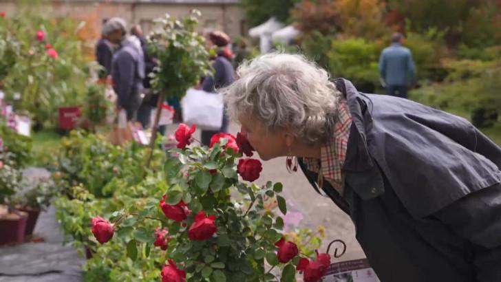 Une femme sentant une rose rouge dans un magasin de jardinage
